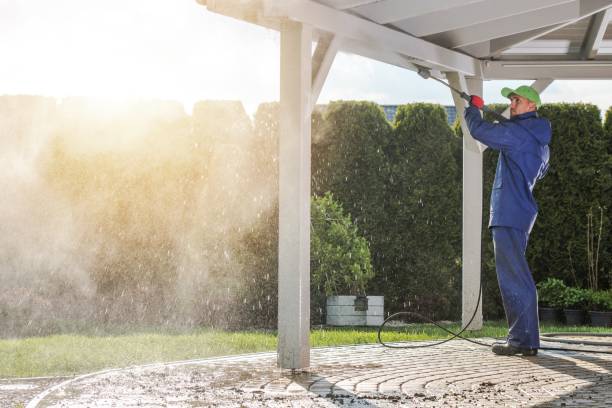 Best Sidewalk and Walkway Cleaning  in Neodesha, KS